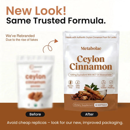 VeyroNova™ | Ceylon Cinnamon 7200mg Equivalent with MCT Oil